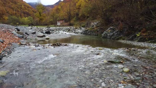 Mountain Autumn River