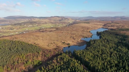 O reflorestamento continua em Bonny Glen, no Condado de Donegal, Irlanda