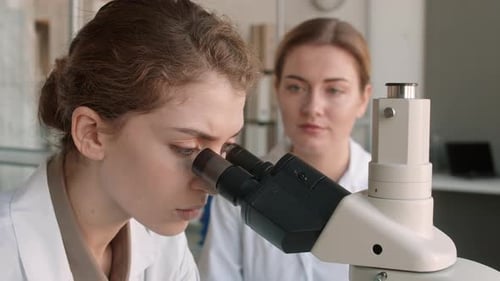 Scientists Using Microscopes in Medical Laboratory