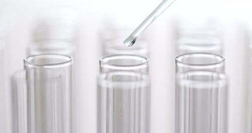 Pipettieren Sie die Probe in das Teströhrchen