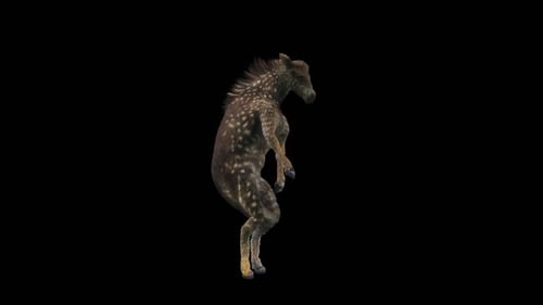 Dancing Spotted Fawn Animation with Seamless Loop