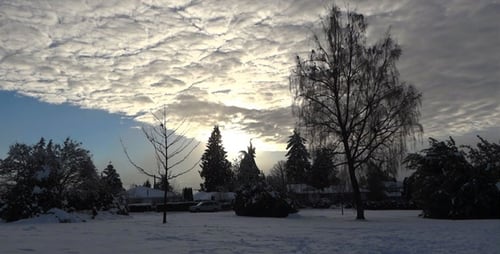Winter Village - Twilight Trees, Houses, Cars