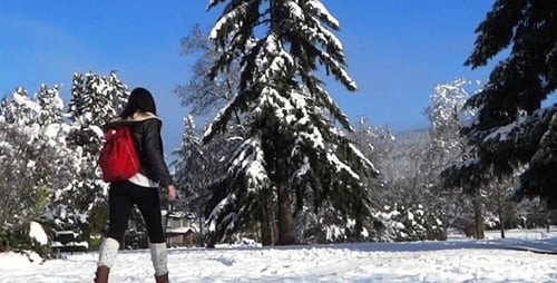 Winter Village - School Girl In Snowy Park