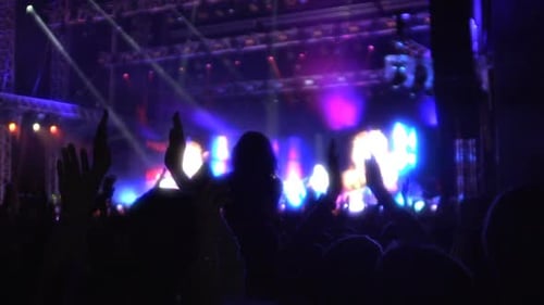 Energetic Crowd at Concert at Night