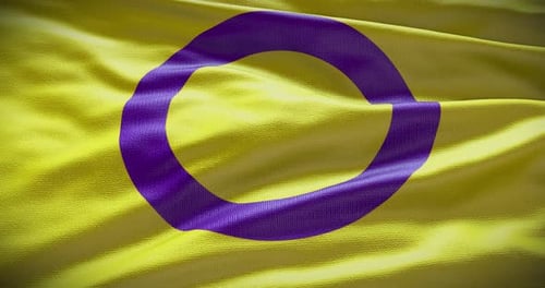 Boucle d'animation drapeau ondulant intersexe