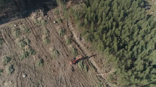Deforestation Aerial