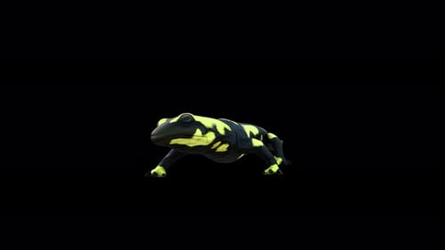 3D Animated Frog Walking on Black Background