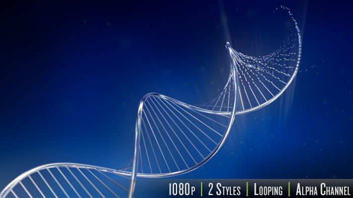 Digital DNA genome double helix Loop animation 3D ., Backgrounds Motion ...