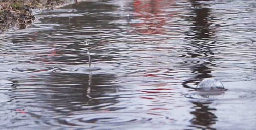 Rain - 09 - Sidewalk Puddle