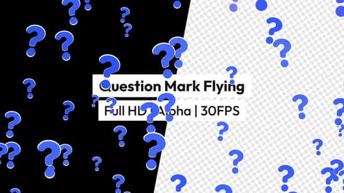 Question Mark Flying with Alpha