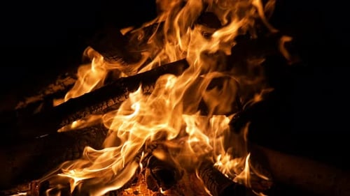 Camp Fire (4K)