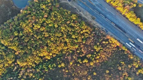 Landscape with a in Colorful Deciduous Forest to Enjoy the Beauty of Autumn Groves on Fabulous Hike