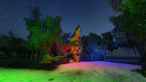 Panorama der Wildnis bei Nacht