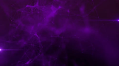 Rosa Plexus 4k