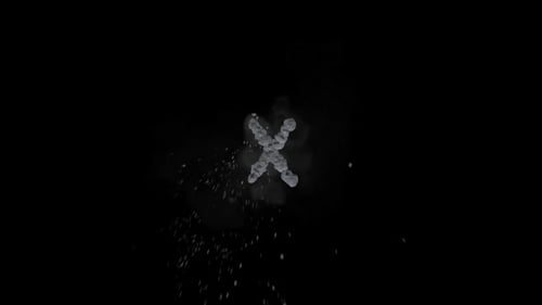 Abstract Particle X Logo Reveal Animation