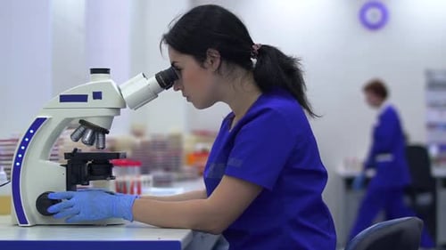 Portrait Lab Technician Looking in Microscope in Laboratory