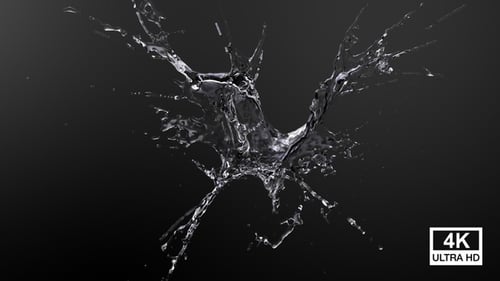 Dynamic Water Splash Element for Logo Reveal
