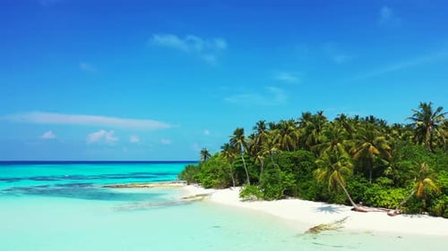 Paradise tropical island with palm trees bent over white sand of exotic beach washed by calm clear w