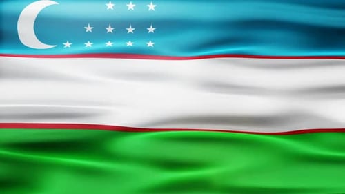 Waving Flag of Uzbekistan Loop Animation