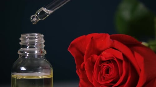 Öl aus der Pipette in Glasflasche auf Rose im Hintergrund tropfen