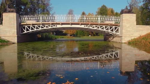 The Beauty of an Autumn Park in St