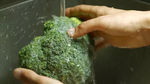 Washing Fresh Green Broccoli Under Tap Water