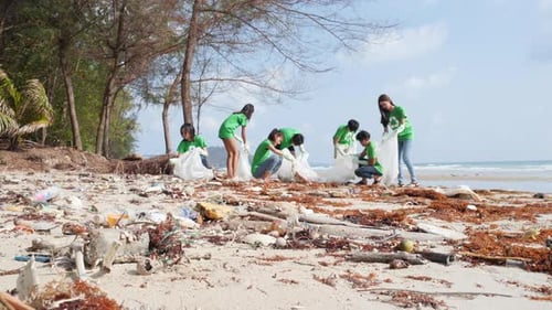 Junge Freiwillige recyceln Umwelt
