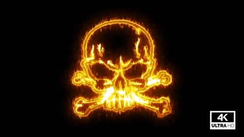 Neon Fiery Skull and Crossbones Outline Reveal
