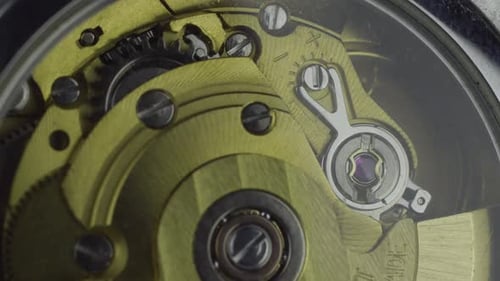 Mechanical Wrist Watch Gold Mechanism Working