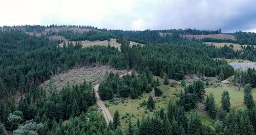 Entwaldung. Blick aus der Vogelperspektive auf einen üppig grünen Berg mit zerstörtem Wald durch illegalen Holzeinschlag