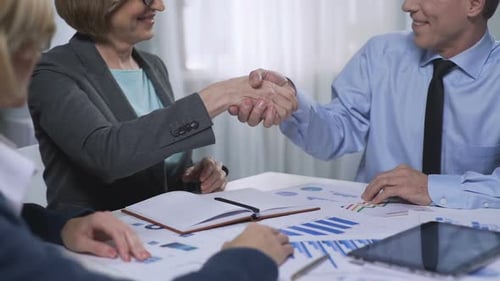 New business partners meeting in the office, colleagues cooperation, agreement