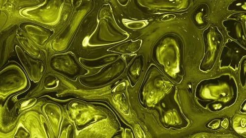 Abstract Green Liquid Fluid Morphing Background
