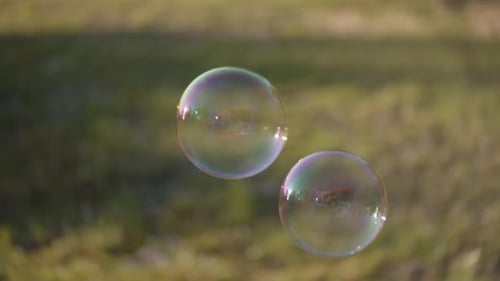 Bolhas flutuando no campo iluminado pelo sol