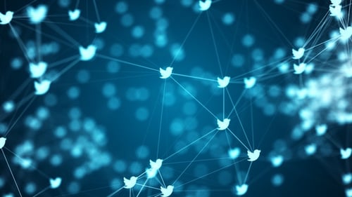 Fondo de Twitter Plexus