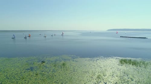 Imágenes aéreas de Zumbido de una regata o una carrera de vela en el río Dnipro