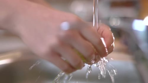 Hands washing lettuce leaves