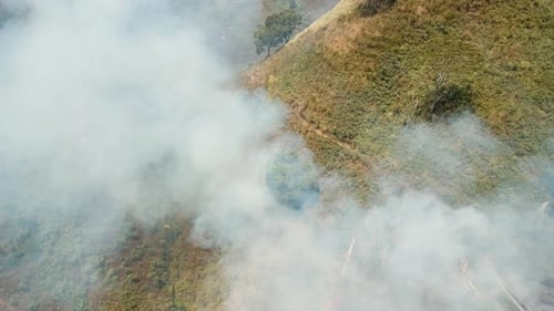 Luftaufnahme Waldbrand. Jawa Island, Indonesien