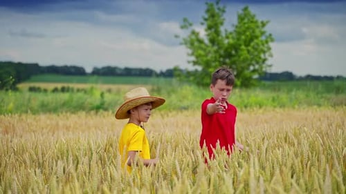 Cute little children in wheat field