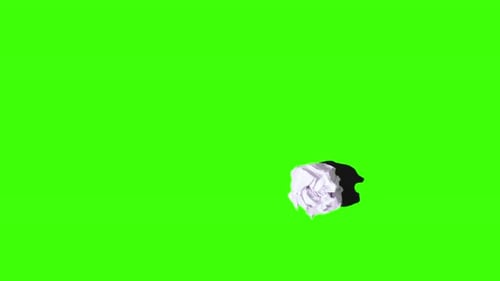 Sheets of A4 Paper Appear on a Green Screen