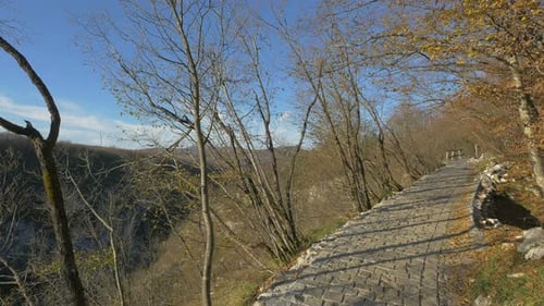 Alley and leafless trees at Plitvice Park