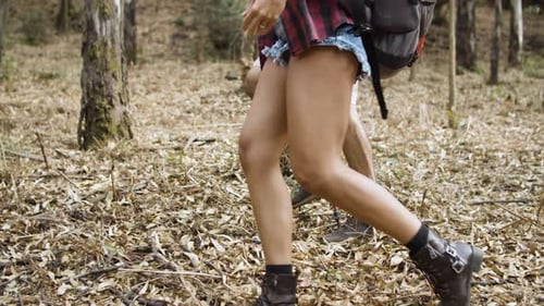 Legs of Active Hikers Walking Off Road Across Forest