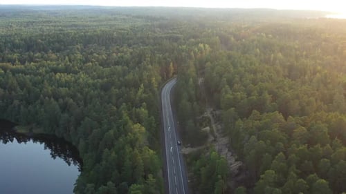 Aerial View From Drone on Asphalt Road at the Forest