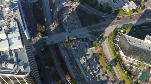 AERIAL: Birds Eye View of Downtown Los Angeles, California Intersection Traffic with Palm Trees and