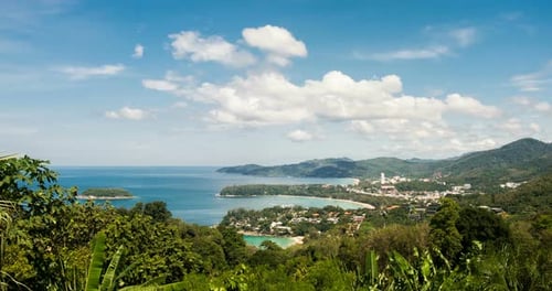 Coastal Town with Lush Foliage on Tropical Beach