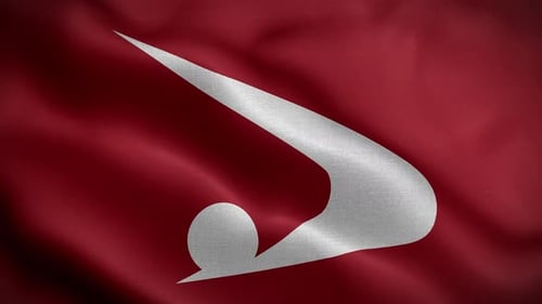 Waving Red Flag With Abstract White Symbol