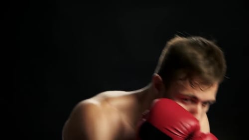 Intense Boxer Training with Red Gloves in Close-up
