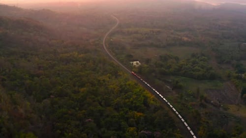 The train runs on tracks amid a beautiful green forest.