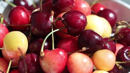 Bunte Kirschen rotierend, Nahaufnahme
