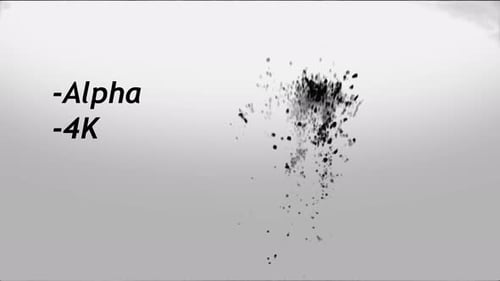 Fluid Ink Splatter Burst Transition