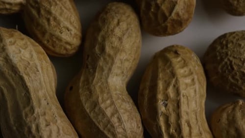 Close Up of Peanuts in Shells